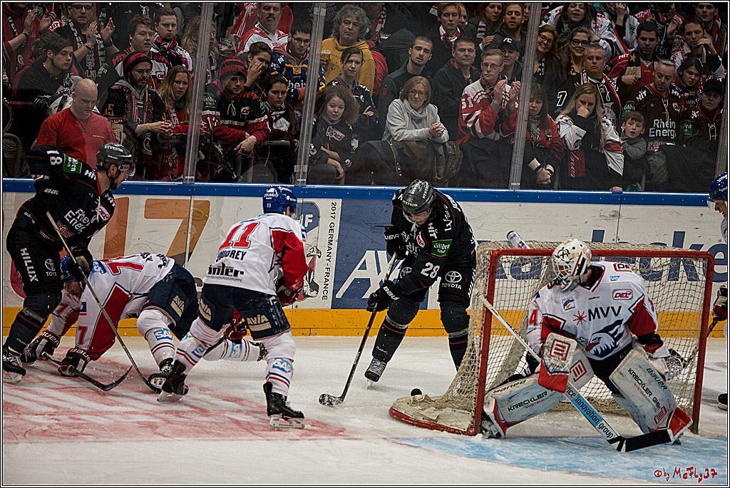 DEL, Koelner Haie - Adler Mannheim, 05.02.2017